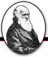 International Darwin Day Foundation