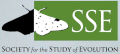 SSE