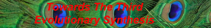 Towards The Third Evolutionary Synthesis
