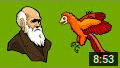 What exactly is Evolution?
