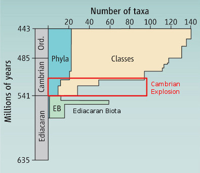 CAMBRIAN EXPLOSION