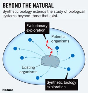 Exploring DNA sequence space. Nature 16 dec 2010