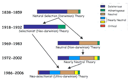 neutral theory