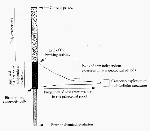 Chronology of primordial pond