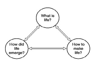 Pross' three related questions Pross' three related questions