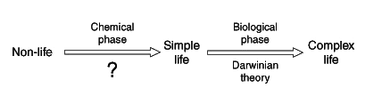 Two-phase (chemical and biological) transformation of non-life into complex life Fig. 6