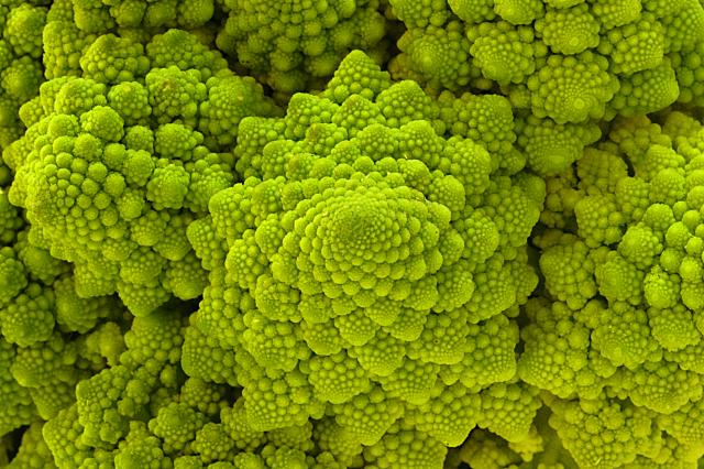 Romanesco