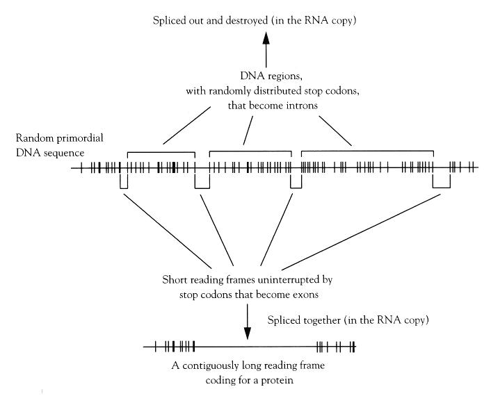 Figure 7.4