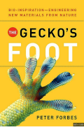 The Geckos Foot