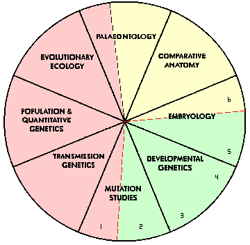 The 8 disciplines of Evolutionary Biology The 8 disciplines of Evolutionary Biology