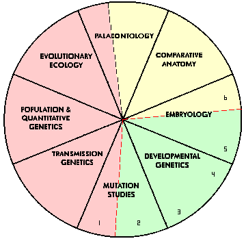 The 8 disciplines of Evolutionary Biology