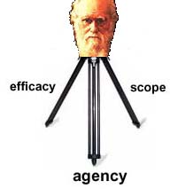 Darwin's tripod