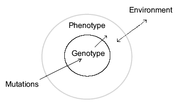 The essential questions of evolution