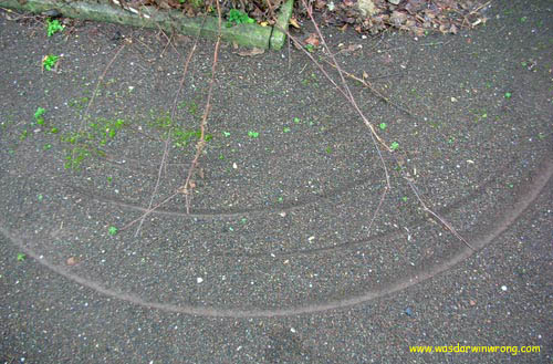 natural circles