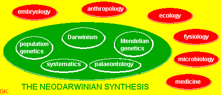 Synthesis